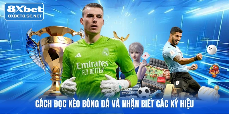 Cách đọc kèo bóng đá và nhận biết các ký hiệu
