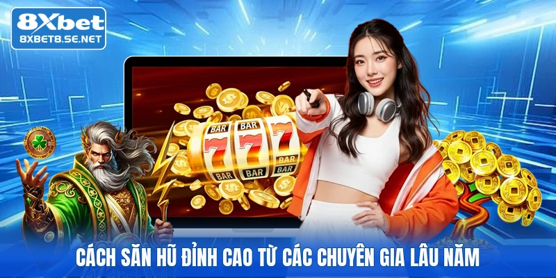 Cách săn hũ đỉnh cao từ các chuyên gia lâu năm