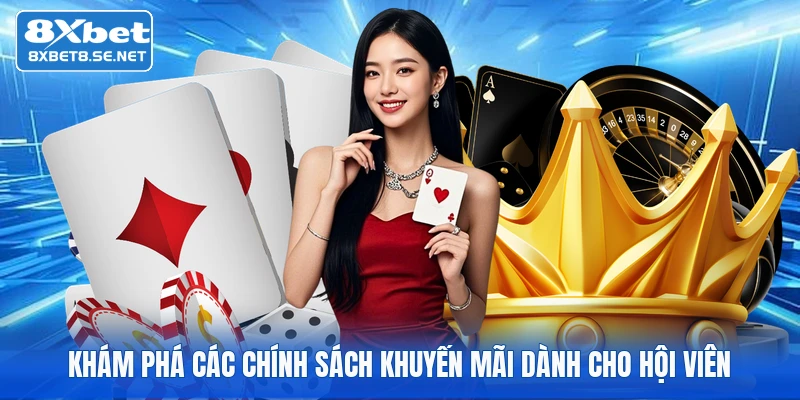 Khám phá các chính sách khuyến mãi dành cho hội viên
