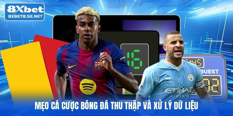 Mẹo cá cược bóng đá thu thập và xử lý dữ liệu